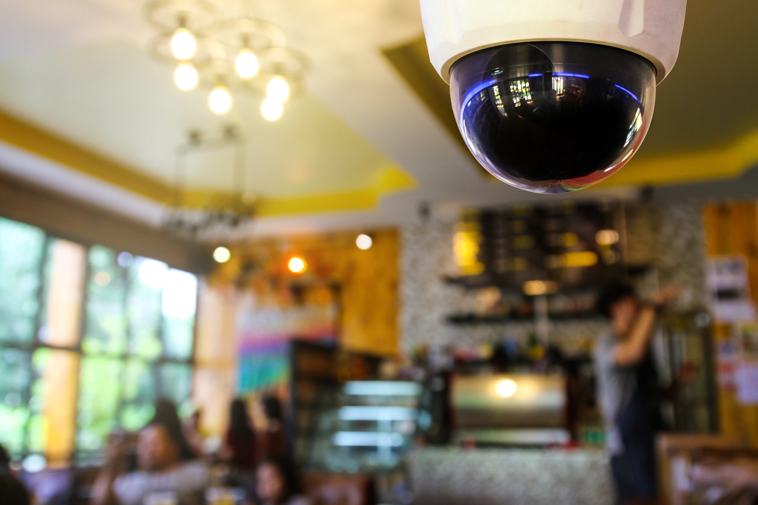 Security Cameras for Retail Businesses IP Security Cameras